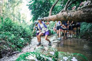 BIB: 
                            <button type="button" onclick="openModal(25466746)" class="btn btn-primary btn-sm float-right btn-popup" data-toggle="modal" data-target=".modal-high-quality">
                        <i class="fas fa-shopping-cart"></i> Add to Cart
                    </button>
                                            <button type="button" onclick="isThisMe(25466746, true)" class="btn btn-success btn-sm float-right btn-popup btn-isme hidden" data-toggle="tooltip" data-placement="bottom" title="นี่คือรูปของคุณใช่ไหม คลิกที่นี่เพื่อเอาเข้าอัลบั้ม">
                        <i class="fas fa-plus"></i> Add to album
                    </button>
                    <button type="button" onclick="isThisMe(25466746, false)" class="btn btn-warning btn-sm float-right btn-popup btn-isnotme hidden">
                        <i class="fas fa-ban"></i> Remove from album
                    </button>